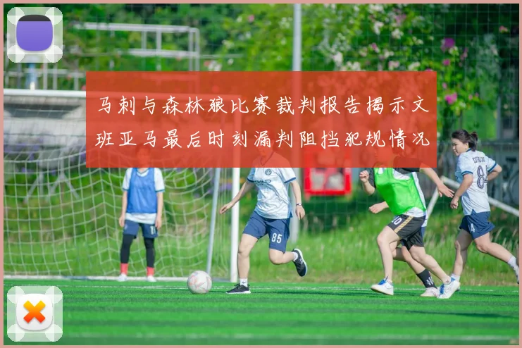 马刺与森林狼比赛裁判报告揭示文班亚马最后时刻漏判阻挡犯规情况
