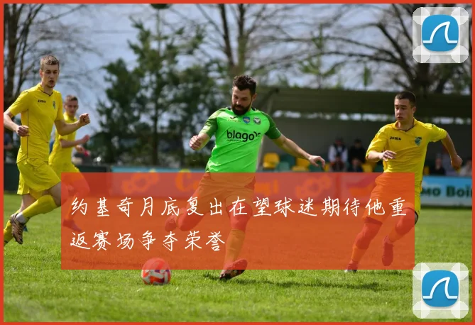 约基奇月底复出在望球迷期待他重返赛场争夺荣誉